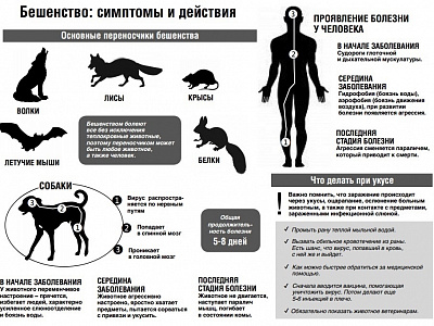 28 сентября - Всемирный день борьбы с бешенством.